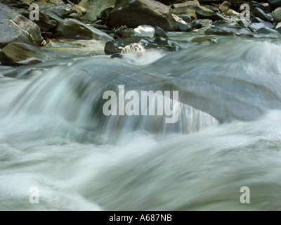 Schnelles Streaming-Bach fließt über Felsen Zillertal Tirol Österreich Stockfoto