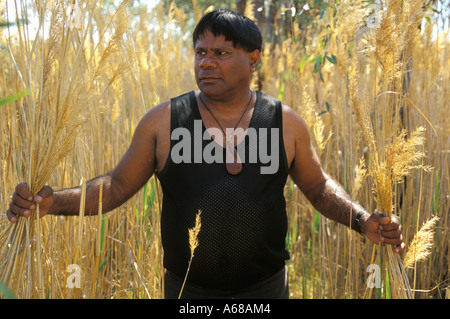 Aborigine-zeitgenössische Künstler Ian Abdulla sammelt Gräser an Loch Luna South Australia Stockfoto