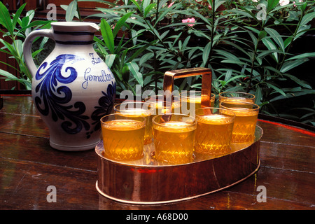 Deutschland, Frankfurt, Apfelwein Gläser und Bembel Portion Krug Stockfoto