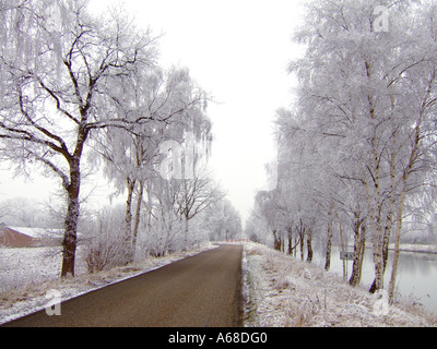 Nebenstraße im Winter durch Frost bedeckt Bäume begrenzt Stockfoto