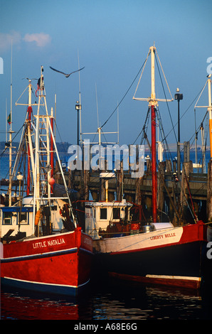 Kommerziellen Fischerboote am MacMillan Wharf Provincetown MA verankert Stockfoto