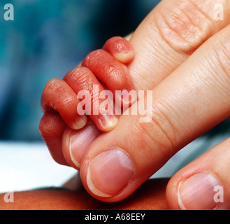 Neugeborenen Säugling Hand umklammert Mütter Fingern Stockfoto