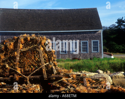 Bootshaus und Hummer fallen Chatham Hafen Cape Cod MA Stockfoto