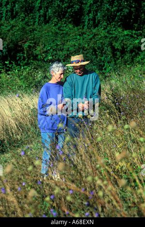 Älteres paar Wandern und wilde Blumen pflücken Stockfoto