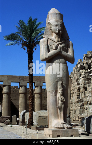 Statue von Ramses II. Stockfoto