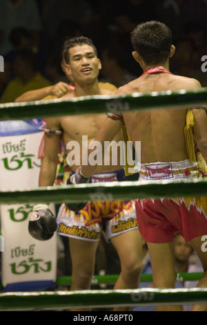 Muay Thai - Face Off Stockfoto