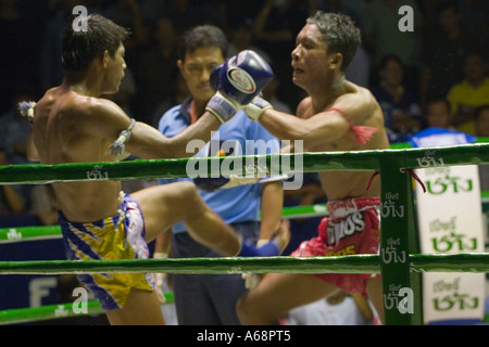 Front Kick, Unterkörper während einer Muay Thai kämpfen (Rajadamnern Stadion, Bangkok, Thailand). Stockfoto