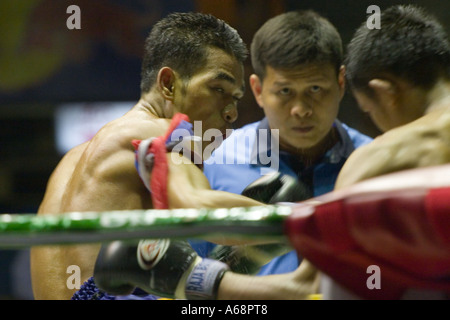 Muay Thai - schlagenden Gegner in die Ecke Stockfoto