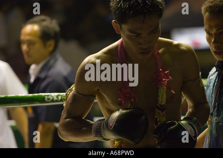 Muay Thai - Kämpfer Portrait Stockfoto