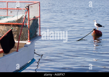 Möwe, die hoch oben auf einer Boje im Hafen von Punte Del Este Stockfoto