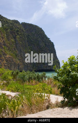 Karst-Klippe auf einer tropischen Insel nicht weit vom Railay Beach Stockfoto