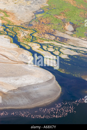 Arial Ansicht der Flussmündung mit Flamingos, Fütterung, Natron-See, Tansania Stockfoto