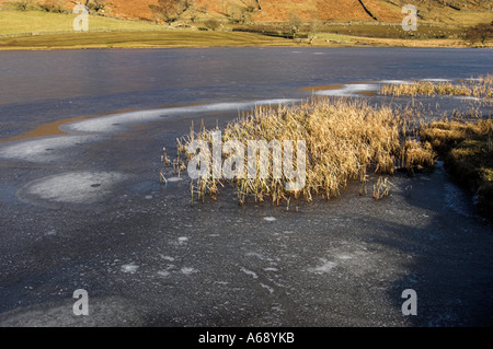 Eis und Reed Muster in der gefrorenen Watendlath Tarn. Stockfoto