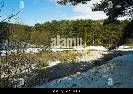 Winter-Szene im Parkhall Landschaft Park Stockfoto