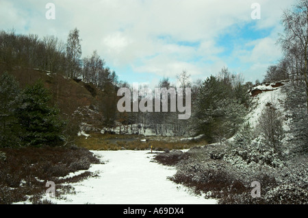 Parkhall Landschaft Park Stockfoto