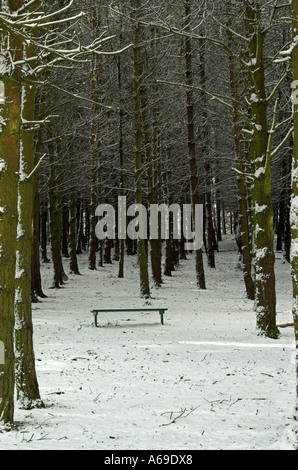Bank am Parkhall Landschaft Park Stockfoto