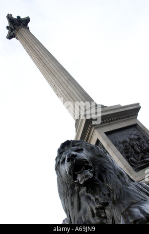 Nelson s Spalte in Trafalgar Square-London-UK Stockfoto
