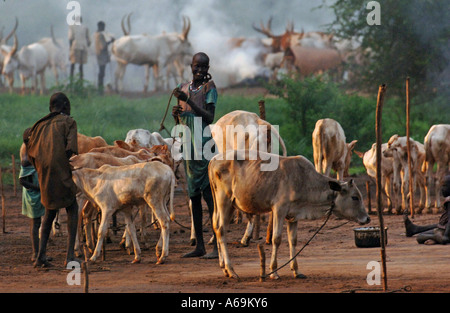 Dinka nomadischen weit in Rumbek, Süd-Sudan. Stockfoto