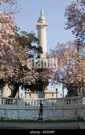 Washington Monument of Baltimore Maryland Magnolia Blumen blühen Mount Vernon Place Stockfoto