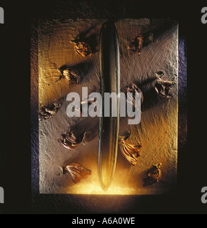 VDA77196 Reed mit getrockneten Blumen auf Erde Hintergrund mit goldenen Schimmer auf Reed Stockfoto