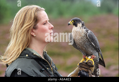 Emma Ford der britischen Schule der Falknerei in Gleneagles Stockfoto