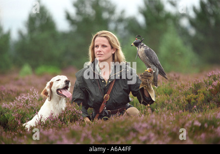 Emma Ford der britischen Schule der Falknerei in Gleneagles Stockfoto