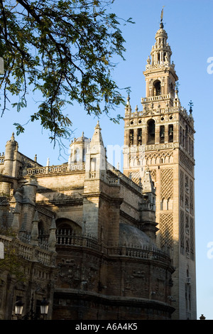 Dom und Turm Giralda, Sevilla, Spanien Stockfoto