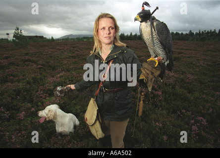 Emma Ford der britischen Schule der Falknerei in Gleneagles Stockfoto