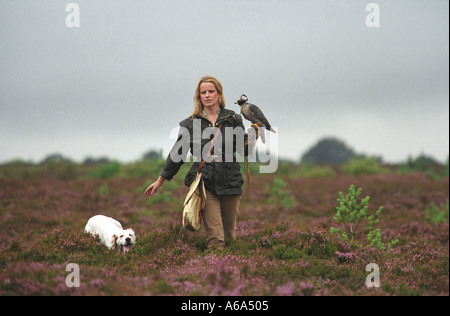 Emma Ford der britischen Schule der Falknerei in Gleneagles Stockfoto