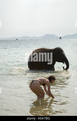 Junge 4-jährige Elefant 'Rara' Baden im Meer mit Mahoot, Reiter, Keeper oder Trainer auf Krabi Touristenstrand in Thailand. Stockfoto