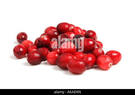 Frische Cranberries Stockfoto