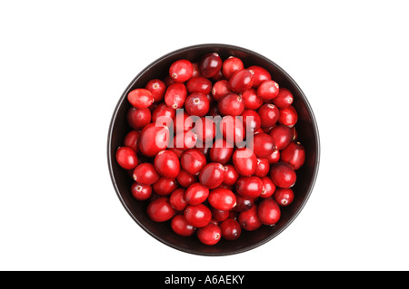 Frische Cranberries in Schüssel Stockfoto