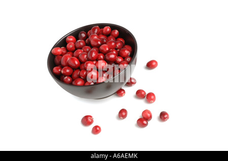 Frische Cranberries in Schüssel Stockfoto