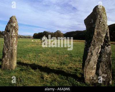 STANDING STONES in "LADY GLASSARY" Holz Kilmartin Glen Argyll und Bute Schottland UK Stockfoto