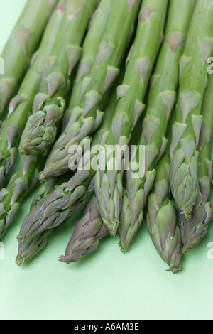 Homegrown, organische Spargelspitzen oder Tipps Stockfoto
