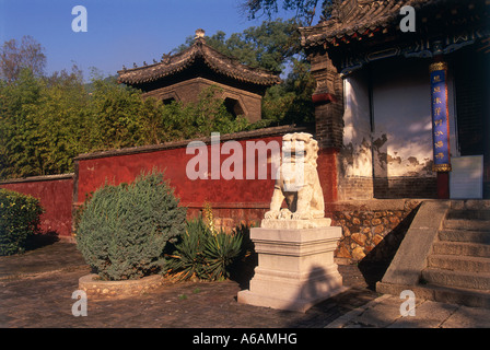 China, Shandong, Tai Shan (ruhige Berg), Puzhao Si (Tempel des universellen Lichts), Löwe Statue buddhistischen Schrein Stockfoto