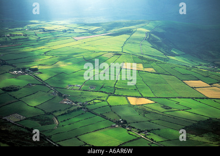 Irland, County Kerry, Dingle Halbinsel, Luftaufnahme von Irsih Ackerland und Landschaft Stockfoto