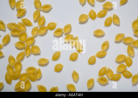 flaches Bett viel Pasta Shells, Abkürzung gerillt Nudeln Stockfoto