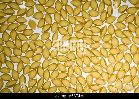 flaches Bett viel Pasta Shells, Abkürzung gerillt Nudeln Stockfoto