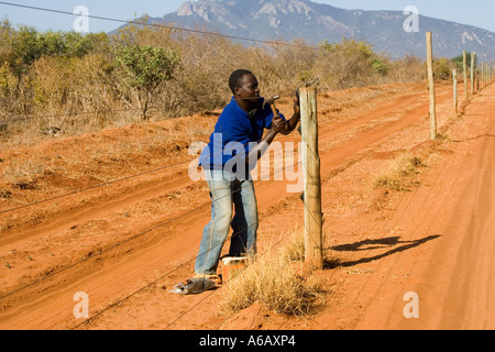 Tierwelt-Ranger Reparatur solar betriebenen elektrifizierten Rhino Zaun Ngulia Rhino Sanctuary Tsavo West-Kenia Stockfoto