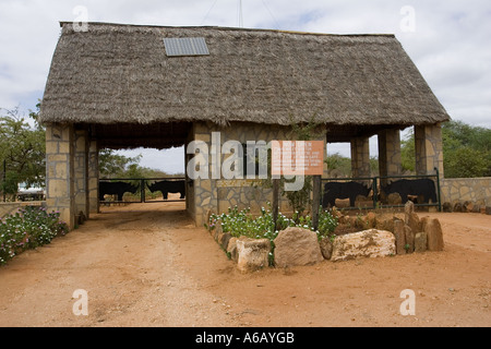 Eingangstor Tsavo National Park West Kenia in Ostafrika Stockfoto