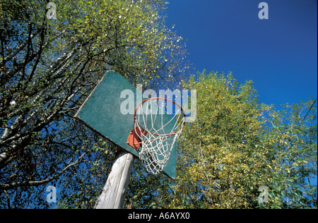 Basketballkorb und Bäume Talkeetna Alaska USA Stockfoto