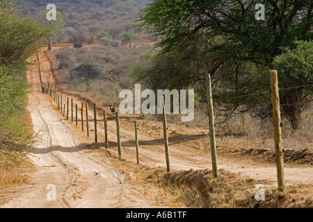 Solarbetriebene Elektrozaun schützen Ngulia Black Rhino Sanctuary in Tsavo National Park West Kenia Afrika Stockfoto