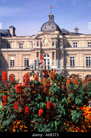 Frankreich Paris Palais du Luxembourg oder Luxembourg Palace oder Marie de Médicis Palace außen Le Sénat im Jardin du Luxembourg Stockfoto