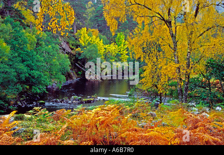 Glen Strathfarrar im Herbst/Herbst, Highlands, Schottland, Großbritannien. Europa Stockfoto