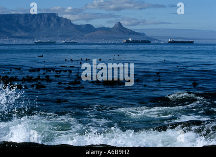 Landschaft, Seeseite, Tafelberg und Löwenkopf, Kapstadt Südafrika, Stadt, Weltplätze, Schiffe, Reiseziel, Afrikanische Landschaften, Küste Stockfoto