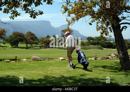 Steenberg Weingut in Constantia western Cape Südafrika Golfer auf dem exculsive Golfplatz auf der Suche nach dem ball Stockfoto