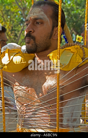 Anhänger von Lord Murugan feiern Thaipusam 1. Februar 2007 in Georgetown Penang Stockfoto