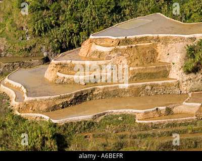 Reis-Architektur ein Beispiel für die Reis-Terrassen auf den nördlichen Philippinen mit Steinmauern gefunden Stockfoto