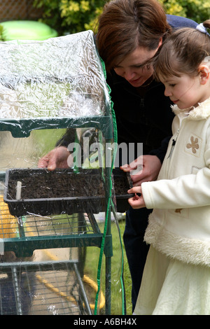 Mutter hilft ihrer kleinen Tochter in kleinen plastischen Gewächshaus für die Keimung im Frühjahr gepflanzten Samen Schalen platzieren Stockfoto